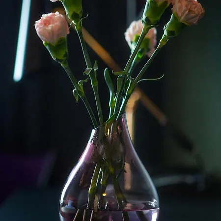 Lasaretti Szálloda Oulu