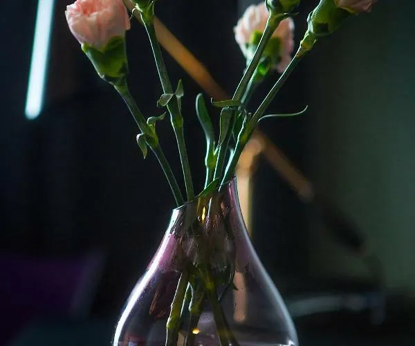 Lasaretti Hotelli Oulu